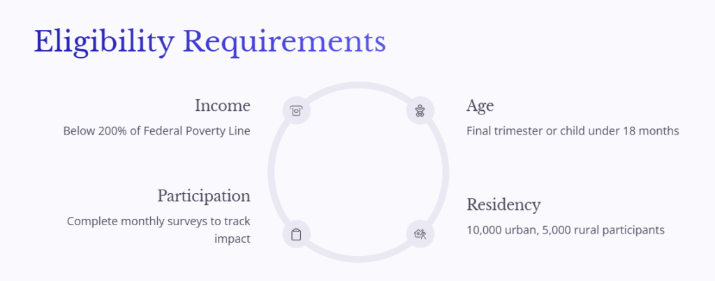 Baby Bucks NYC Eligibility: What It Is, Why It Matters (2025 Bill S2132 Overview) - 2 Baby Bucks NYC Eligibility - Requirements
